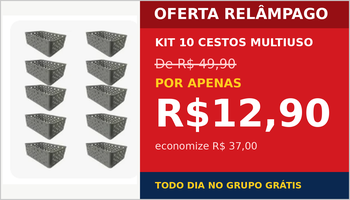 Kit 10 Cestos Multiuso por R$ 12,90